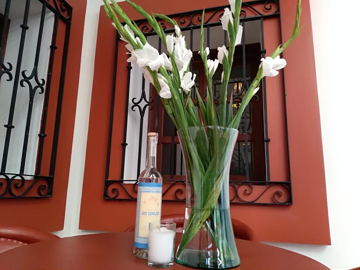 Casa Agave Oaxaca Bed and Breakfast Zewnętrze zdjęcie