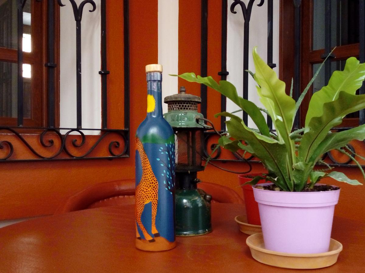 Casa Agave Oaxaca Bed and Breakfast Zewnętrze zdjęcie