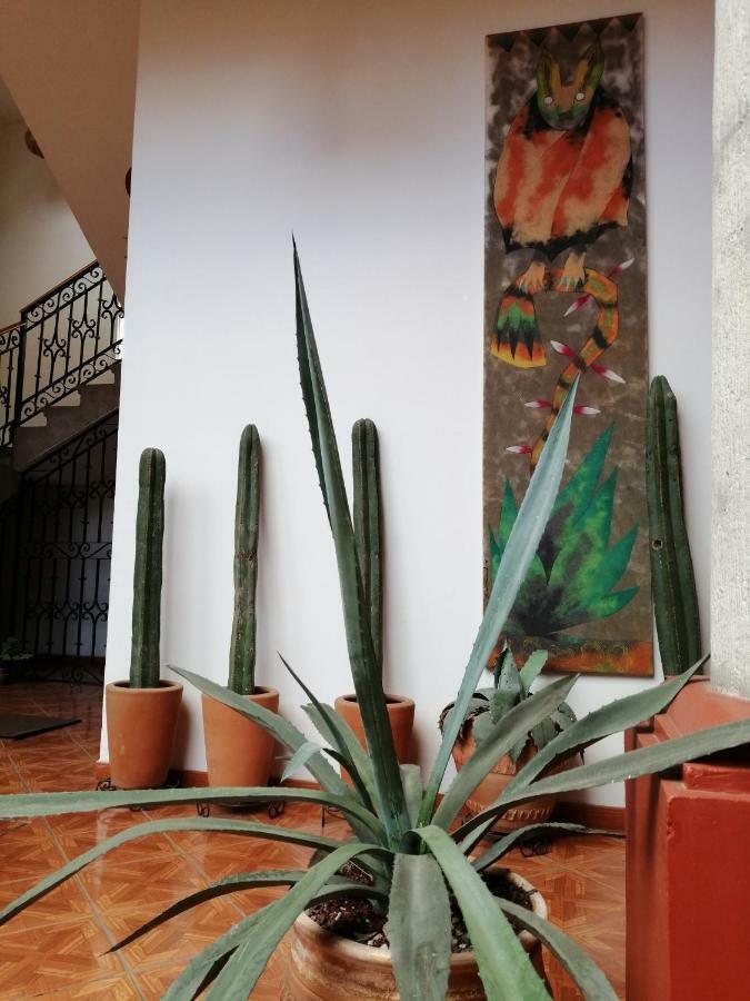 Casa Agave Oaxaca Bed and Breakfast Zewnętrze zdjęcie